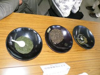12.10.04-16.jpg